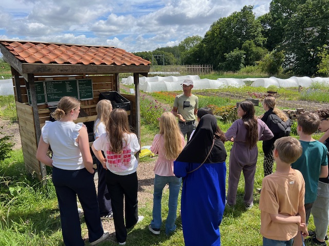 Een schoolklas krijgt een les op de tuin